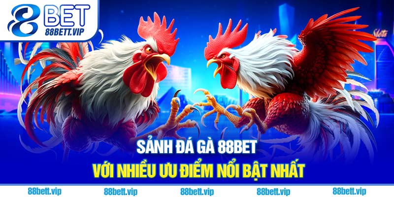 Sảnh đá gà 88Bet với nhiều ưu điểm nổi bật nhất